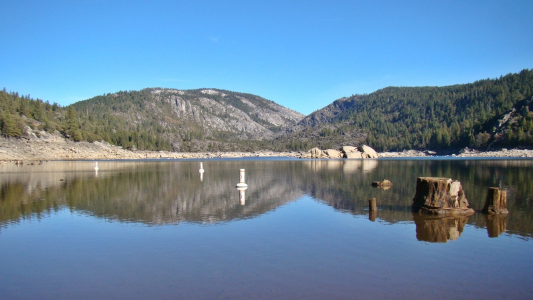 Kiss at Pine Lake